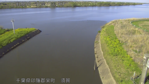 tonsu2026040816_image