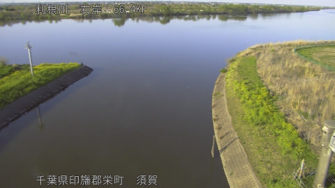 tonsu2026040817_image