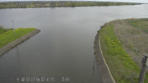 tonsu2026040909_image