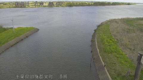 tonsu2026040910_image