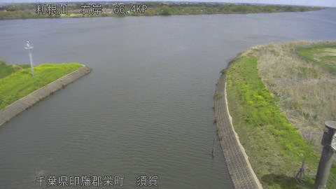 tonsu2026040911_image