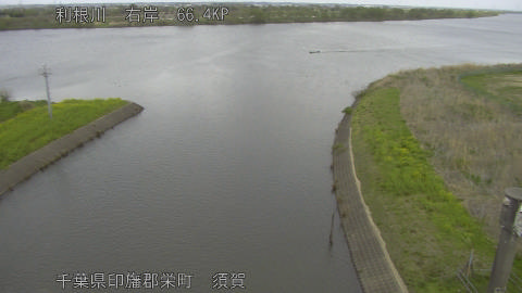 tonsu2026040912_image