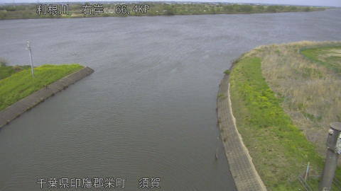 tonsu2026040914_image