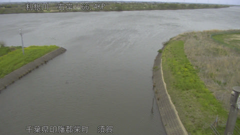 tonsu2026040915_image