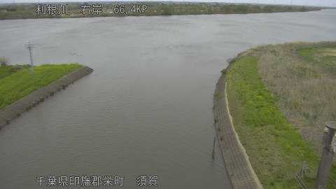 tonsu2026040916_image