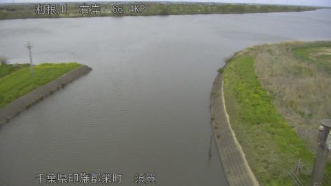 tonsu2026040918_image