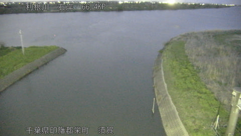 tonsu2026040919_image