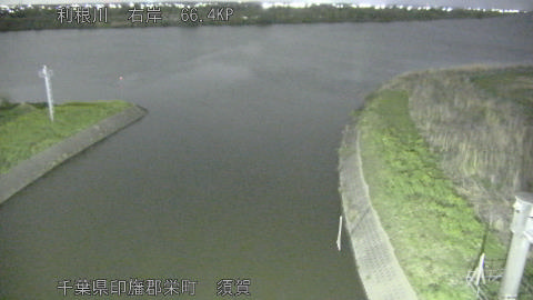 tonsu2026040921_image