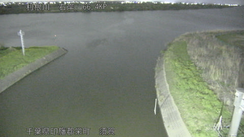 tonsu2026040922_image