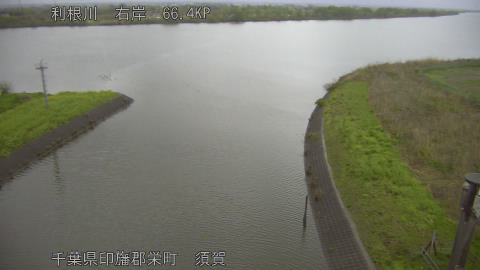 tonsu2026041006_image