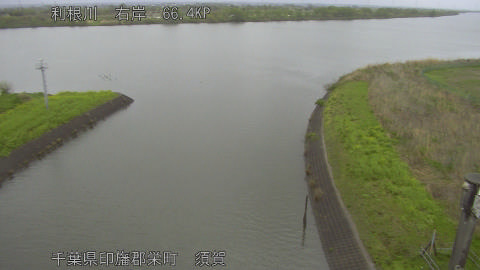 tonsu2026041007_image