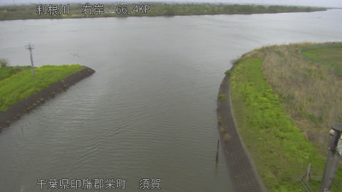 tonsu2026041008_image