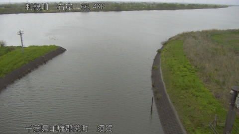 tonsu2026041009_image