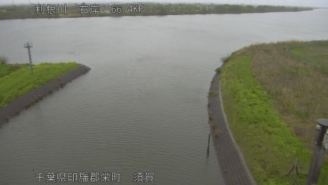 tonsu2026041010_image