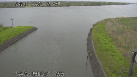 tonsu2026041011_image