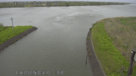 tonsu2026041012_image