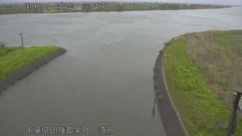 tonsu2026041013_image