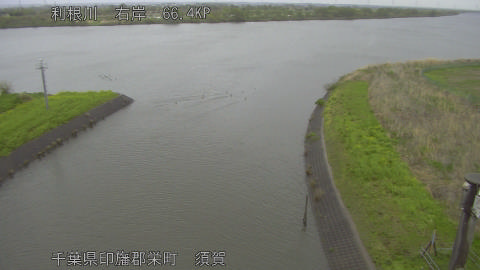 tonsu2026041014_image