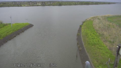 tonsu2026041015_image