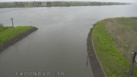 tonsu2026041016_image