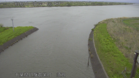 tonsu2026041017_image