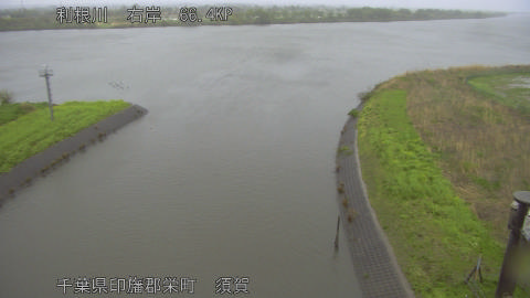 tonsu2026041018_image