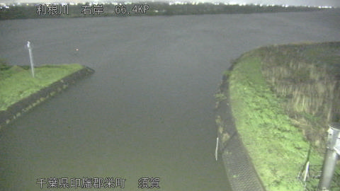 tonsu2026041021_image