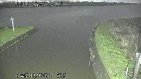 tonsu2026041022_image