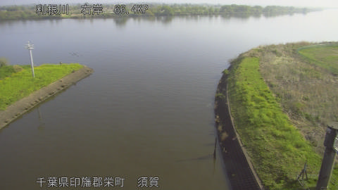 tonsu2026041108_image