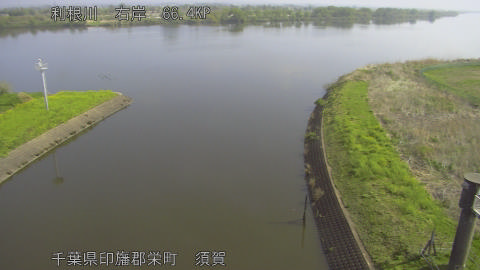 tonsu2026041109_image