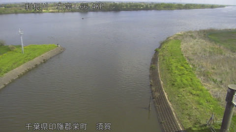 tonsu2026041110_image