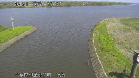 tonsu2026041111_image