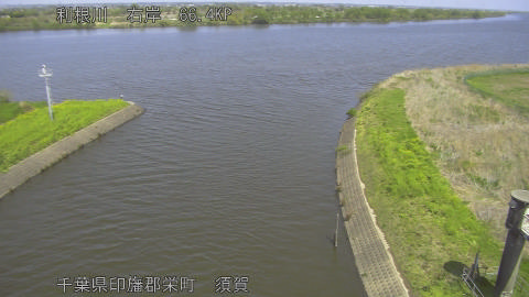 tonsu2026041112_image