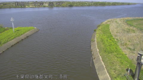 tonsu2026041113_image