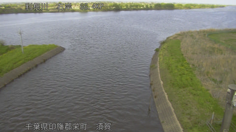 tonsu2026041114_image