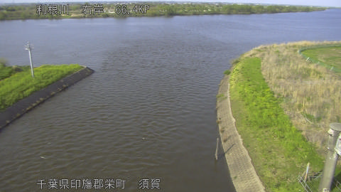 tonsu2026041116_image