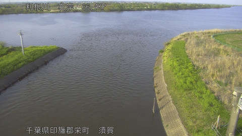 tonsu2026041117_image