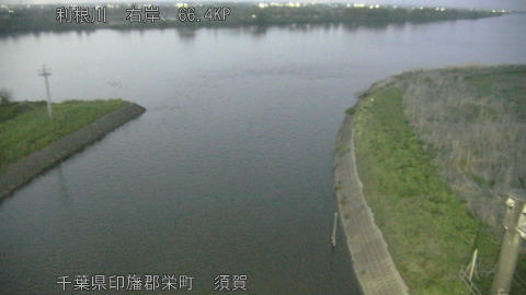 tonsu2026041119_image