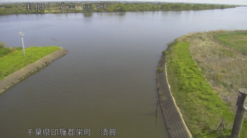 tonsu2026041209_image