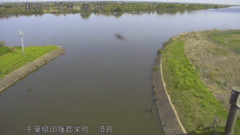 tonsu2026041210_image