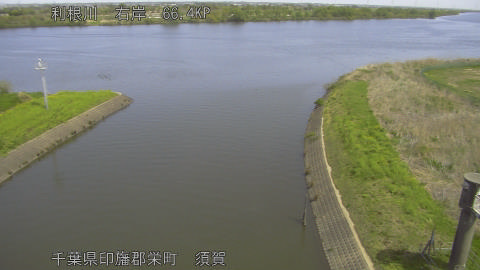 tonsu2026041211_image