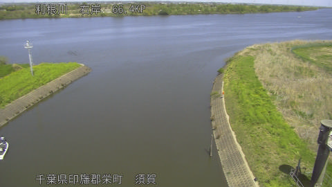 tonsu2026041212_image