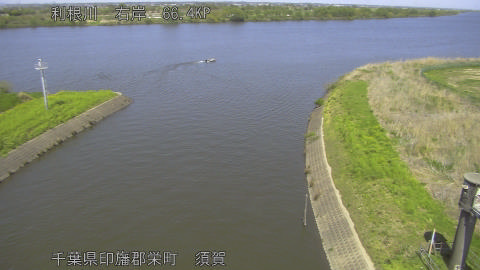 tonsu2026041213_image