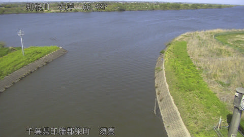 tonsu2026041214_image