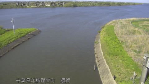 tonsu2026041215_image