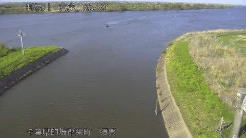 tonsu2026041216_image