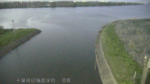 tonsu2026041219_image