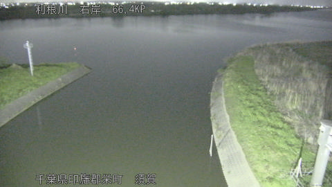 tonsu2026041223_image