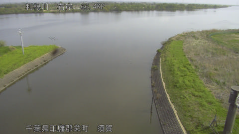 tonsu2026041309_image