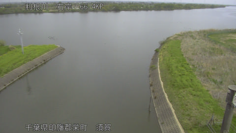 tonsu2026041311_image